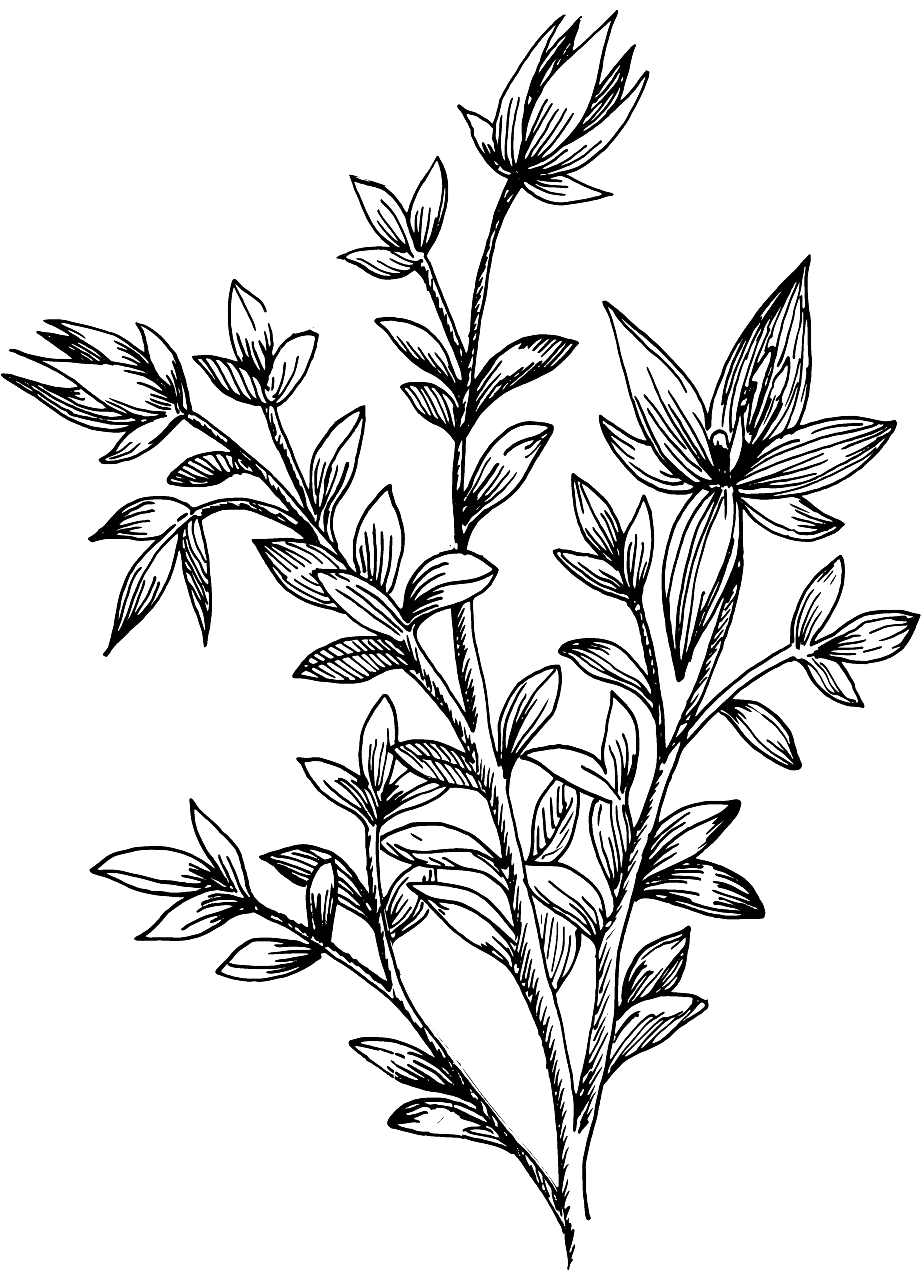 floral-bg